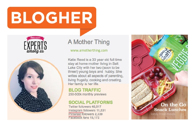 Screenshot of Blogher platform profile