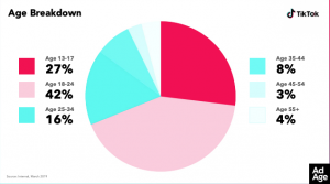2020 Is The Year Brands Take TikTok - Allebach Communications