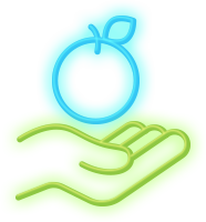 Performance Analysis