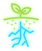 Strategic Development